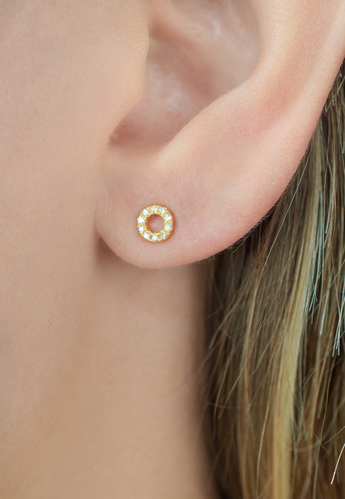 Small Circle of Life Earrings