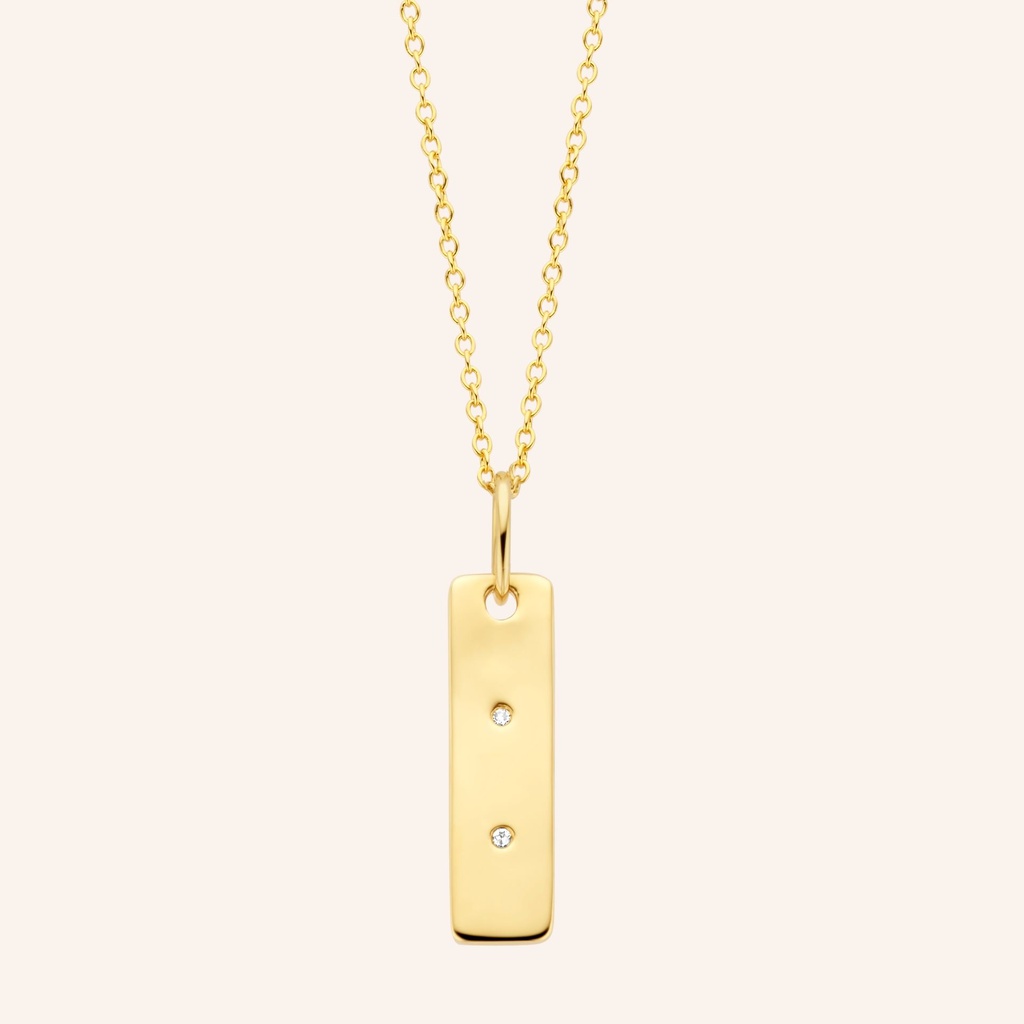 GLD - Tag Engravable Necklace